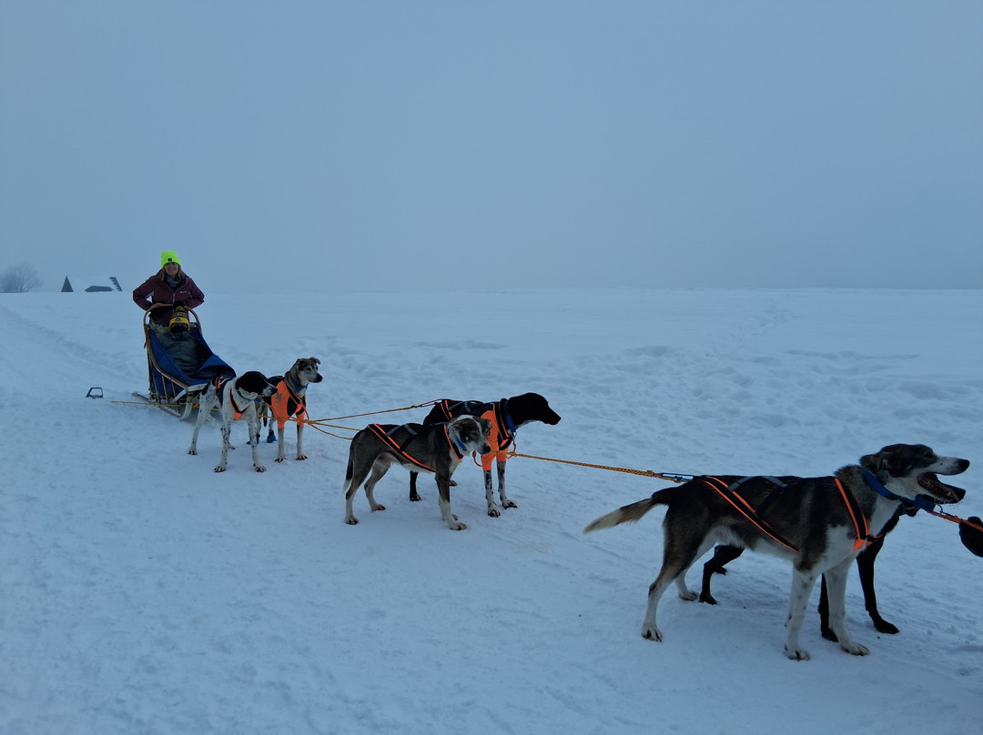 Fundog Husky Sleigh Rides-扎科帕内必去景点