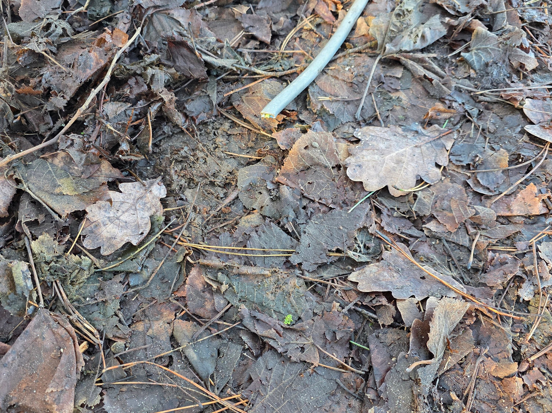 Pakawi Park-Olmen必去景点