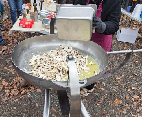 Truffle Hunting-卡兰巴卡必去景点