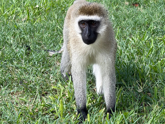 Viaggi in Kenya con Silvio - Safari e Tour Personalizzati-瓦塔木必去景点