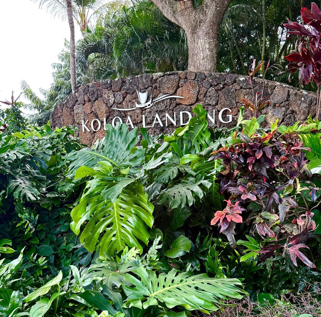 考拉兰定坡伊普海滩温德姆酒店-官方