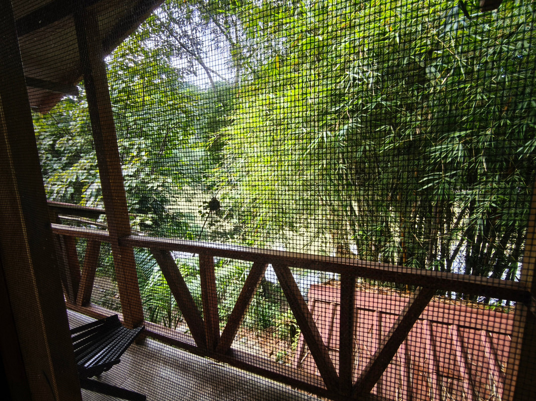 Sayani Amazon Lodge