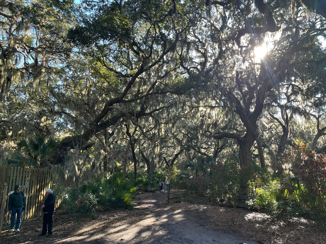 The Lands and Legacies Tour-Cumberland Island必去景点