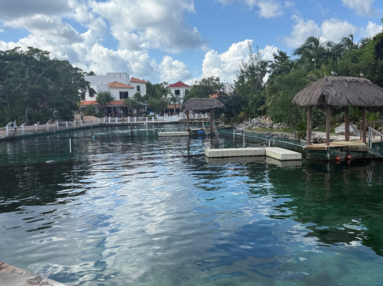 海豚发现秀-阿范特拉斯港必去景点