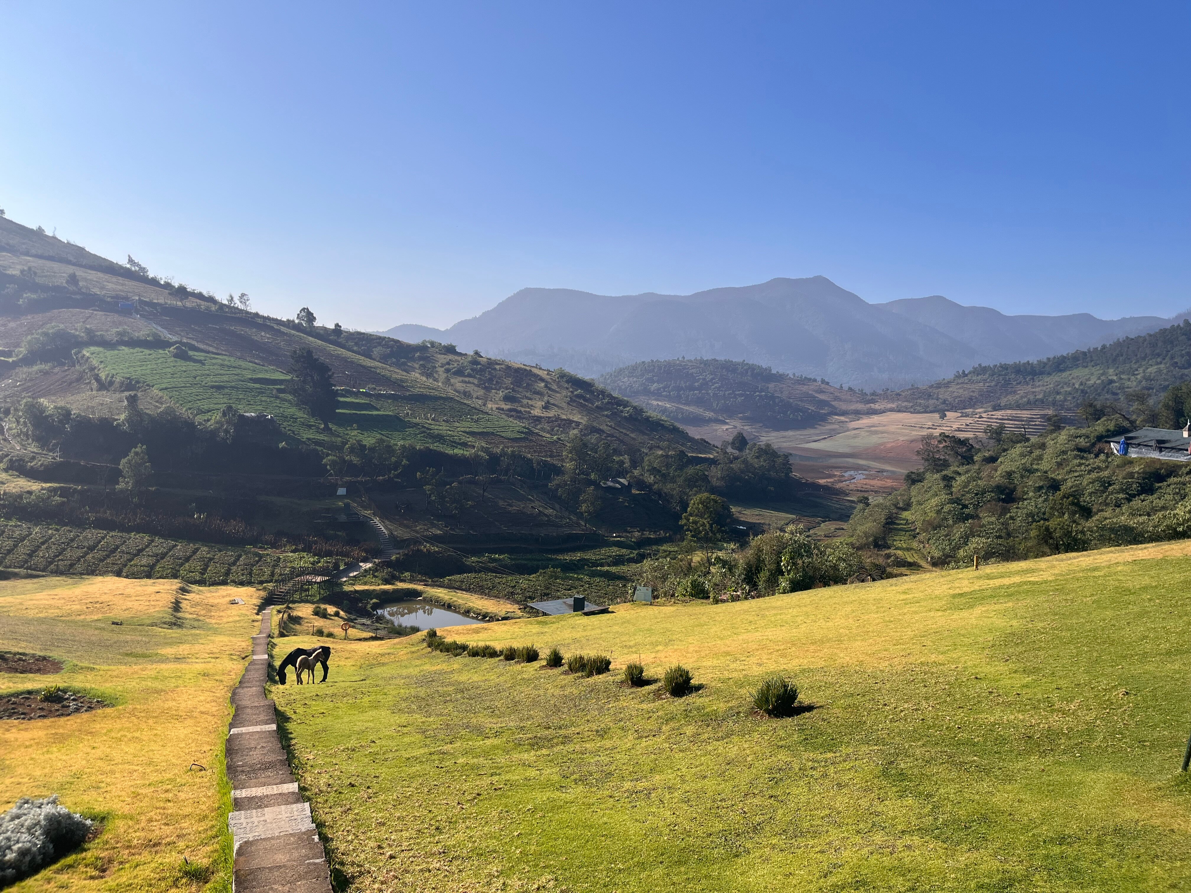 德斯蒂尼农场酒店-官方