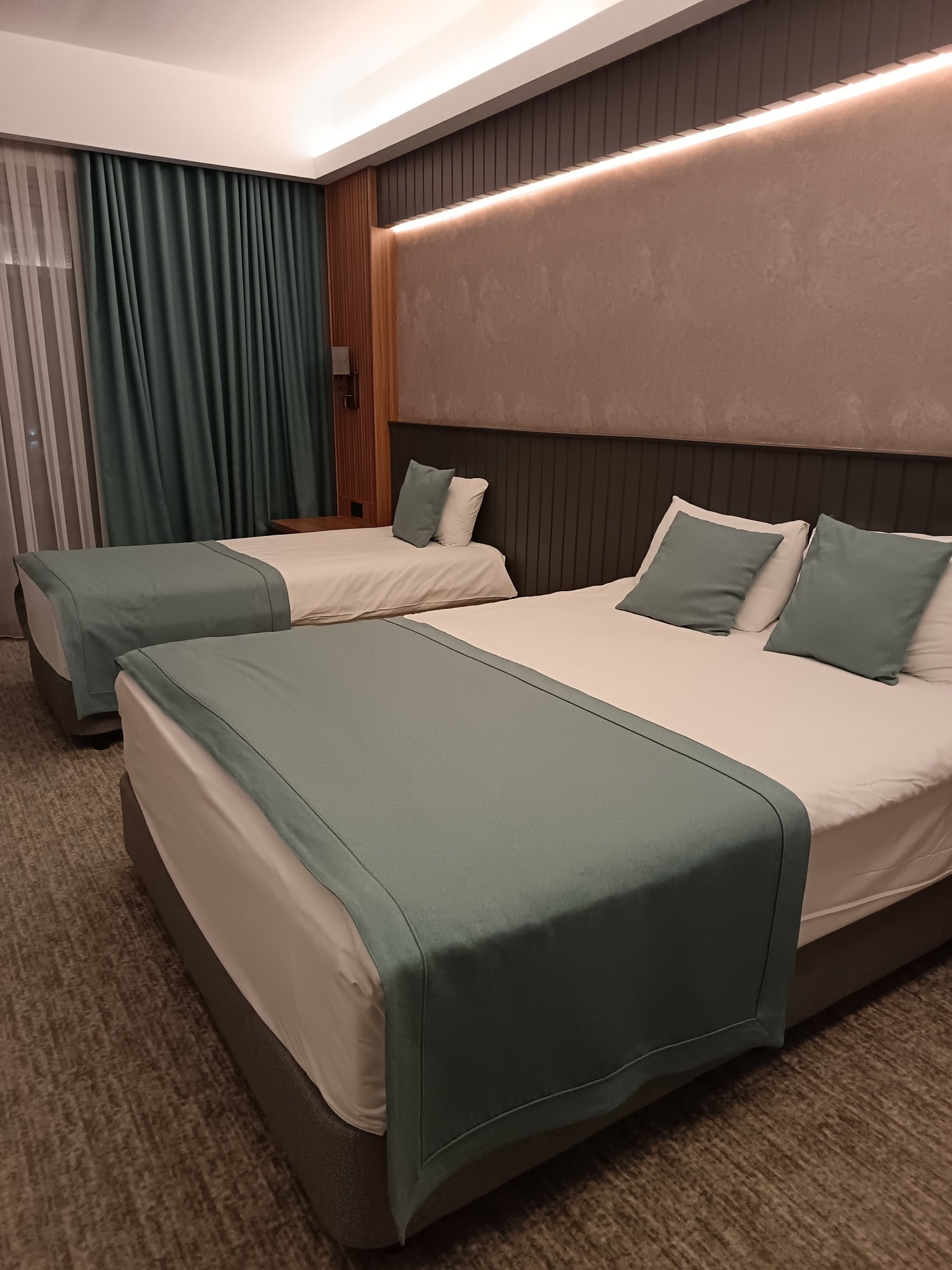 Adempira Termal & Spa Hotel-客卧