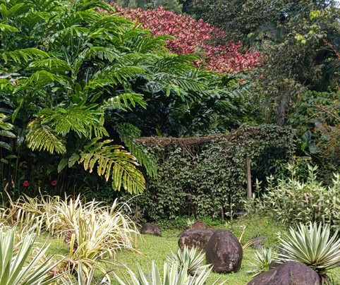 Jardin Botanique de Valombreuse-Petit-Bourg必去景点