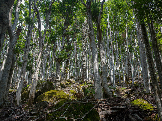 Monte Amiata-托斯卡纳必去景点
