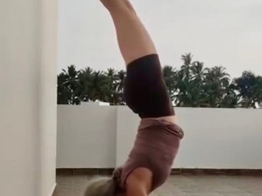 Elephant Yoga Centre-科瓦兰必去景点