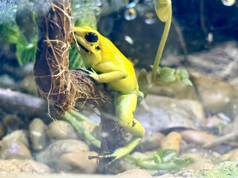 Terra Natura Benidorm-贝尼多姆必去景点