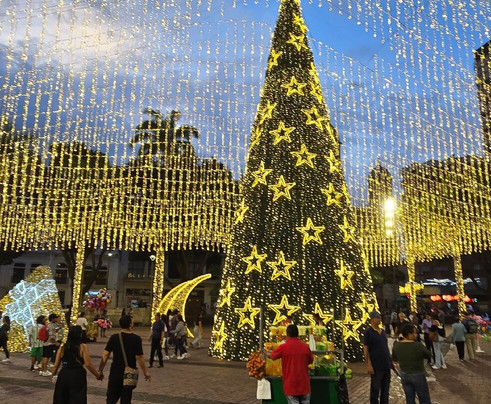 Plaza de Bolivar-佩雷拉必去景点