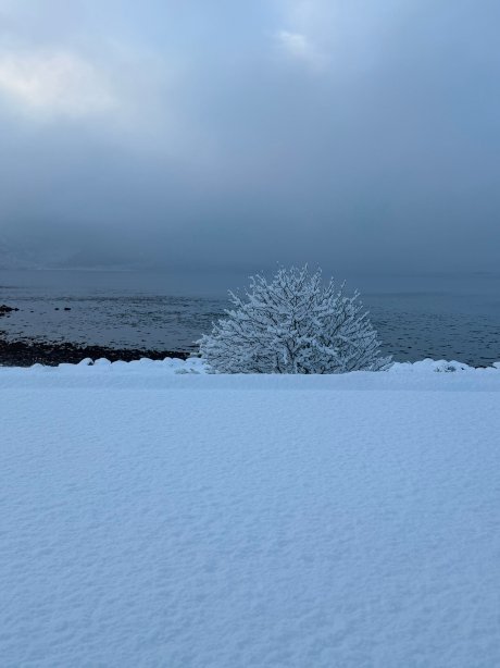 Balmacara Hotel-官方