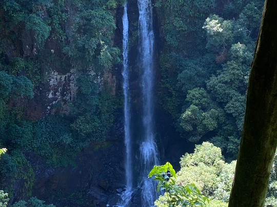 Ecoparque Sperry-卡内拉必去景点