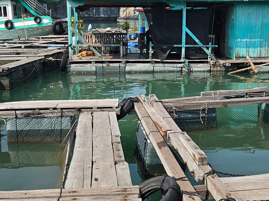 Cat Ba Green Trail Travel-Cat Ba Town必去景点