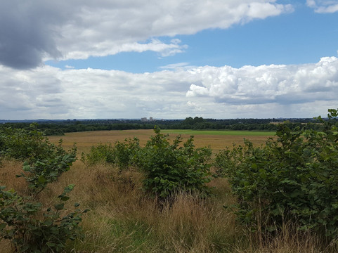 Aldridge Airport Outdoor Activity Centre-Aldridge必去景点