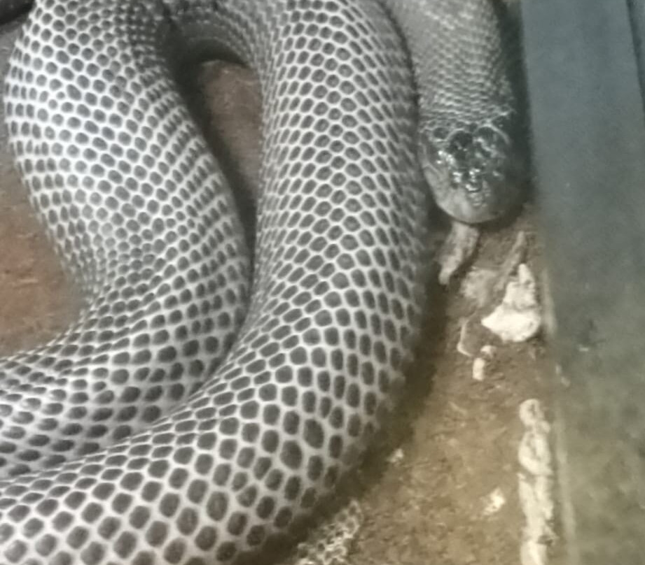 Aqua Vega Aquarium-安卡拉必去景点