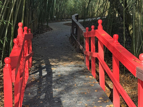 Kanapaha Botanical Gardens-盖恩斯维尔必去景点
