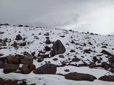 Reserva de Produccion de Fauna-Riobamba必去景点