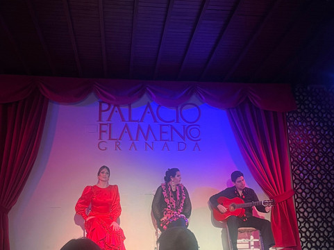 Palacio Flamenco Granada-格拉纳达必去景点