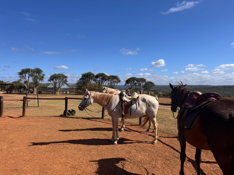 Beachcomber Horse Trails-Kenton-on-Sea必去景点