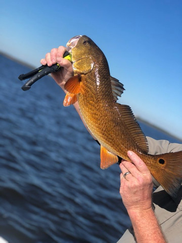 Rojas Fishing Charters-Barataria必去景点