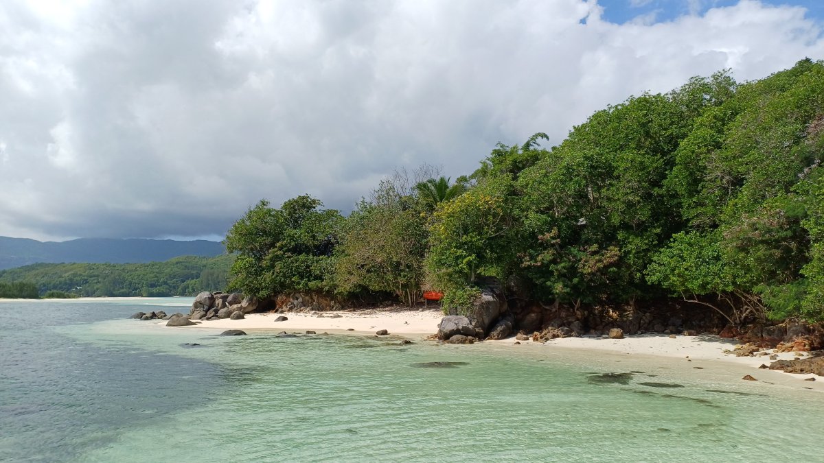 魔法岛度假酒店-泳池