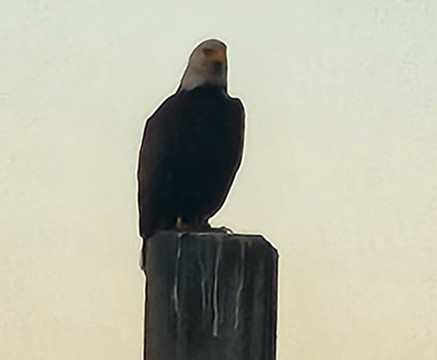 Crooked River State Park-St. Marys必去景点