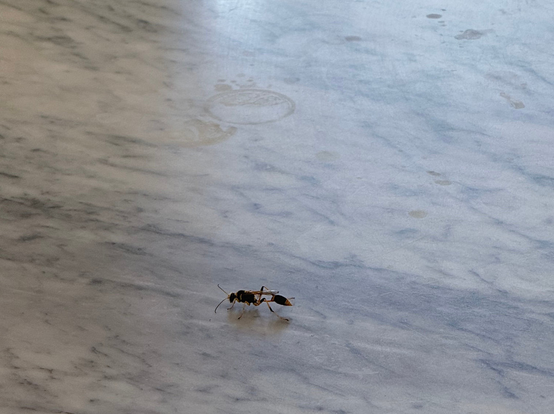 MURRAY'S CRAFT BREWING COMPANY-Bobs Farm必去景点