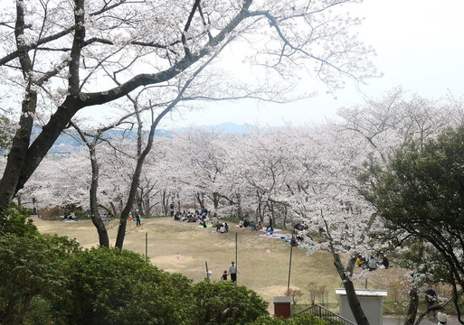Handayama Botany-冈山市必去景点