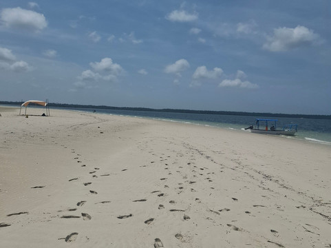 Safari Shwari Mafia Island-Utende必去景点