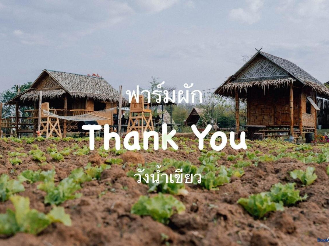 Thank You Vegetable Farm