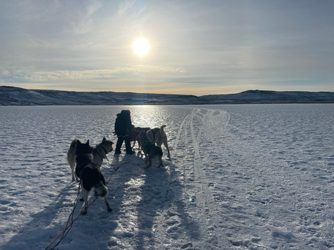 Dogsledding Iceland-莫斯费德斯拜尔必去景点