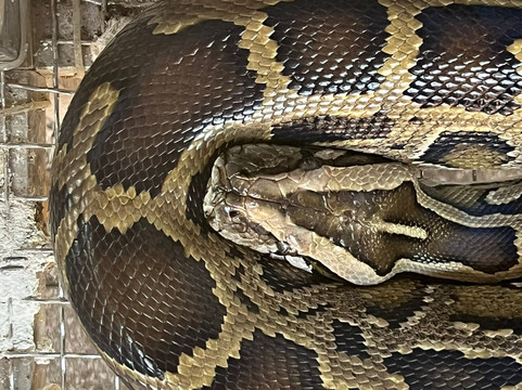 ACE TRAVELS-胡志明市必去景点