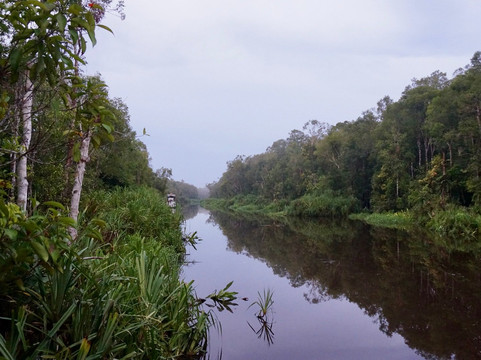 Dolphindo Tour Orangutan Tanjung Puting-Kumai必去景点