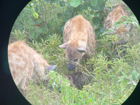 Legend Safaris-雾观必去景点