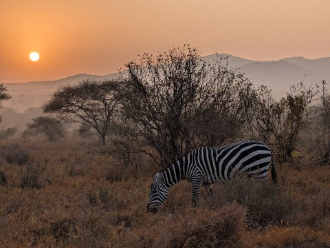 Mufasa Tours and Travels-内罗毕必去景点