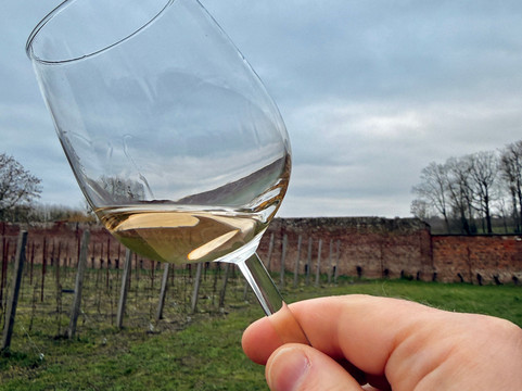 Wijnsafari in Haspengouw (Borgloon)-Borgloon必去景点