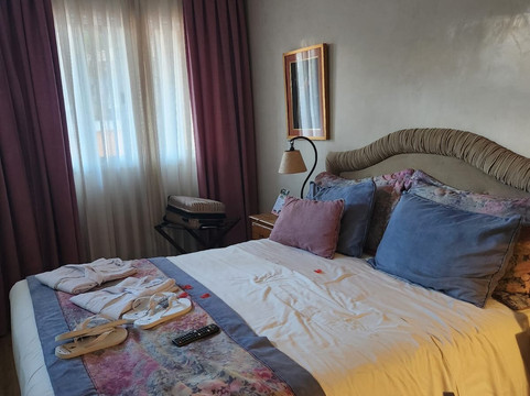 含羞草旅馆主图