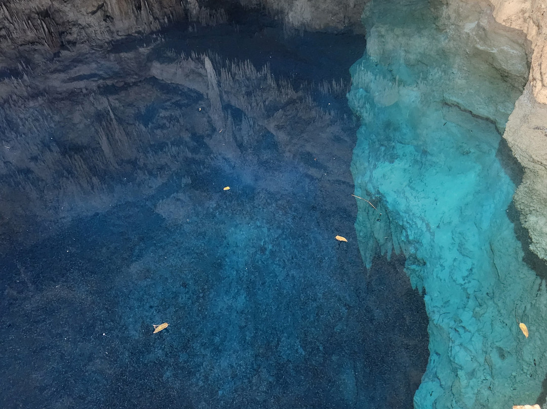 Parque Ecoturistico Cenote Aktun Bej-图伦必去景点
