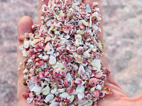 Desert Camels Adventure Tours-尼日瓦必去景点