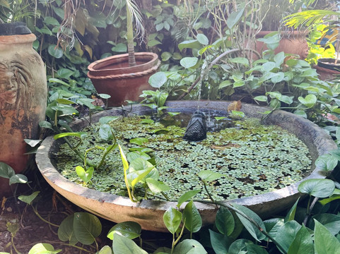 Rockhouse Spa-内格里尔必去景点