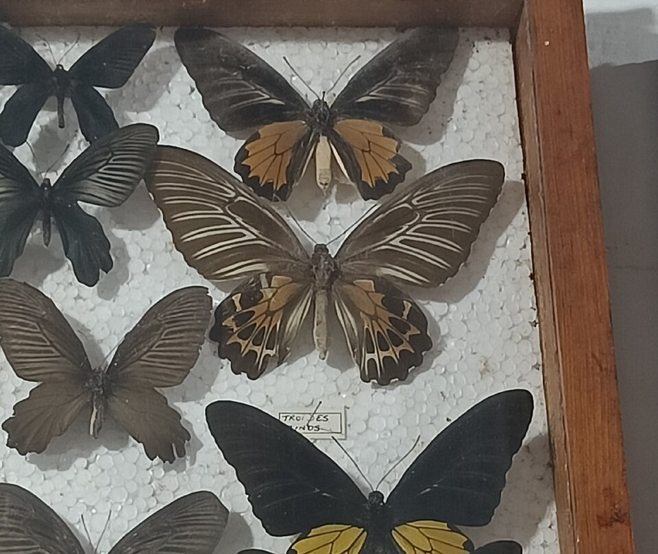 Butterfly Research Centre and Fundraiser Cafe-Bhimtal必去景点