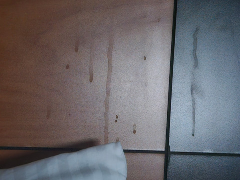 布埃纳帕克拉昆塔温德姆套房酒店主图