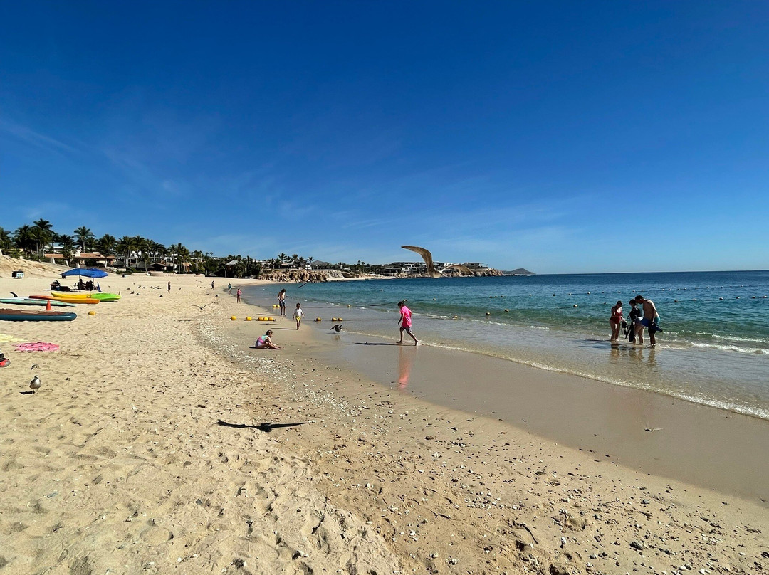 Chileno Bay Los Cabos-卡波圣卢卡斯必去景点