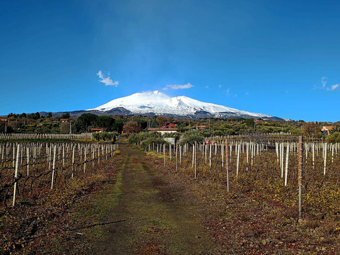Tenuta Papale-Belpasso必去景点