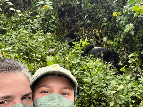 African Gorilla Expeditions-坎帕拉必去景点