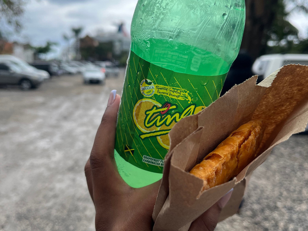 Genius Reggae Jamaica Tours-奥乔里奥斯必去景点