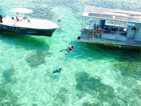 Dive Passion Mauritius-卓得多斯必去景点