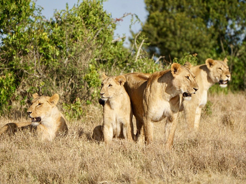 Odyssey Safaris-南由基必去景点