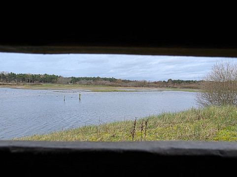 Parc du Marquenterre-Saint-Quentin-en-Tourmont必去景点
